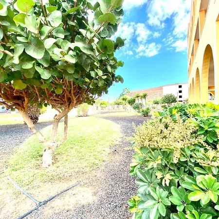 Comodo Apartamento De Un Con Vistas A La Piscina En *